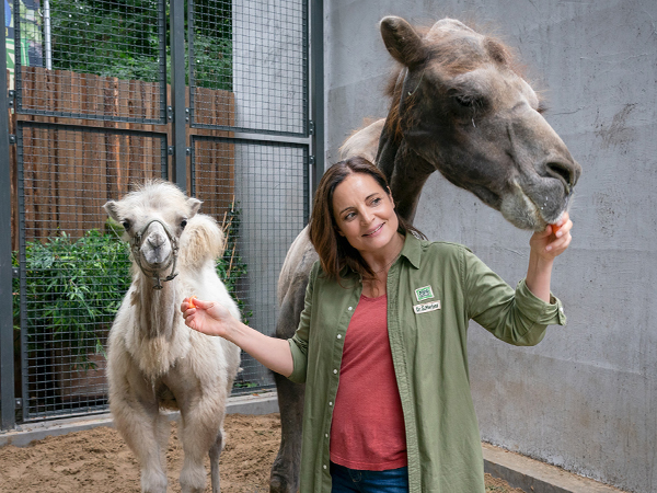 Elisabeth Lanz in "Tierärztin Dr. Mertens" auf Romance TV